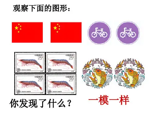 《全等图形》精品PPT课件