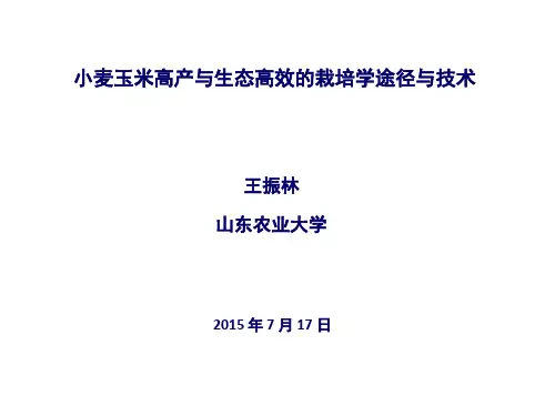 小麦玉米高产与生态高效的栽培学途径与技术-王振林