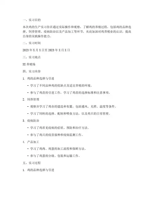 鸡的生产实习实验报告册