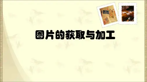 苏科版(2018)七年级上册信息技术 6.1图片获取与加工 课件