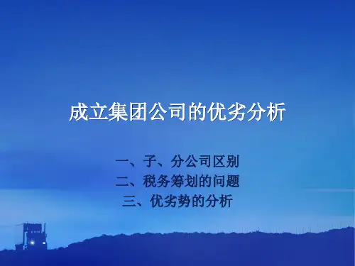 成立集团公司的优劣分析