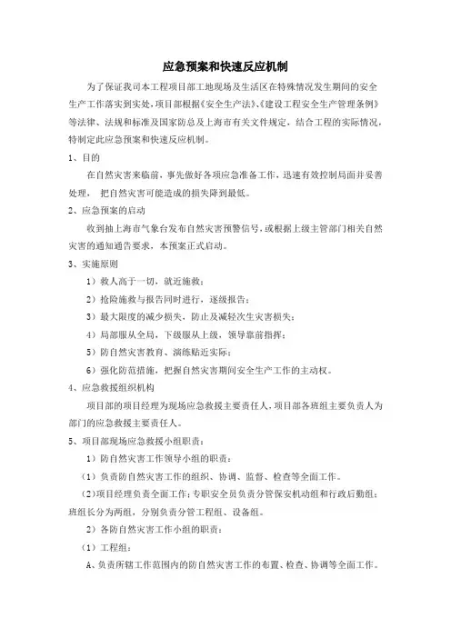 应急预案和快速反应机制
