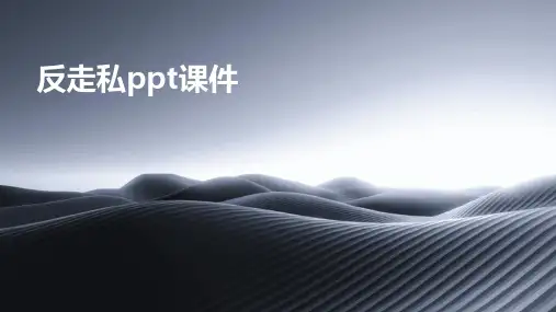 反走私ppt课件