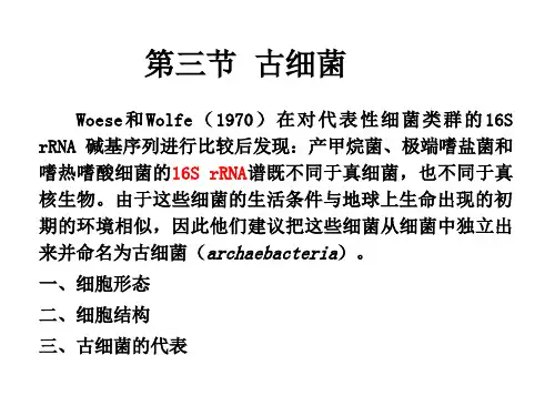 古细菌 放线菌 蓝细菌 三体