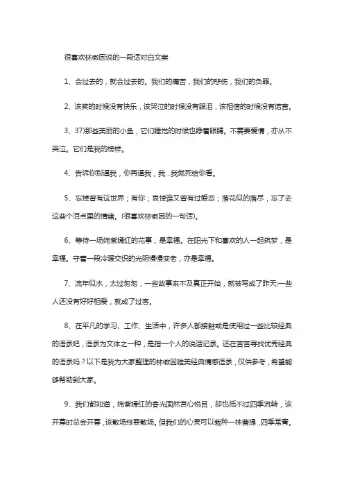 很喜欢林徽因说的一段话对白文案
