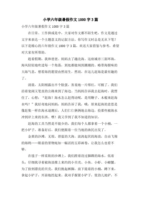 小学六年级暑假作文1000字3篇