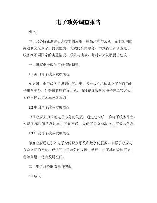 电子政务调查报告
