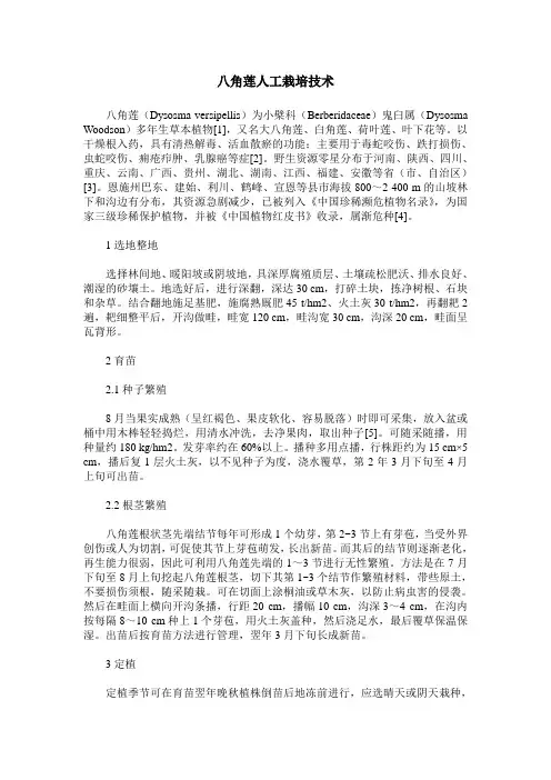 八角莲人工栽培技术