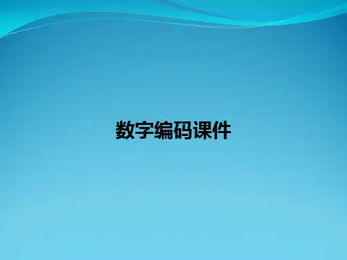 数字编码课件