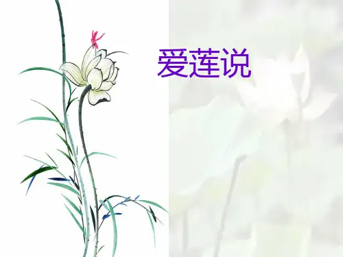 人教部编版七年级下册第16课《短文两篇——爱莲说》说课课件(共21张PPT)