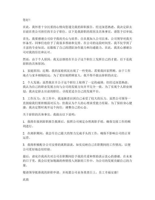 羊公子辞职报告