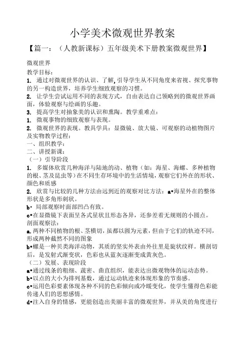 小学美术微观世界教案_2