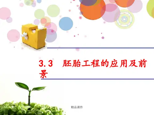 胚胎工程的应用及前景_(公开课)