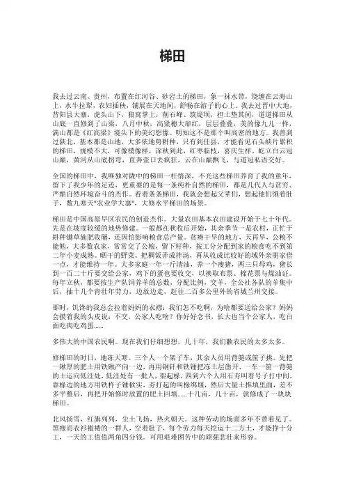 梯田