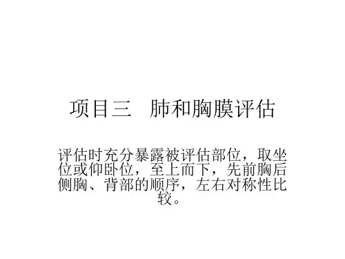 肺与胸膜评估