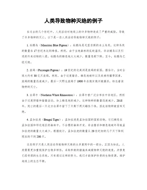 人类导致物种灭绝的例子