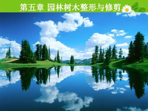 园林树木的养护技术修改PPT课件