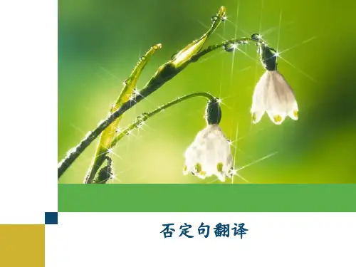 英译汉否定句的英译