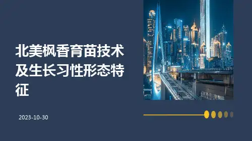 北美枫香育苗技术及生长习性形态特征