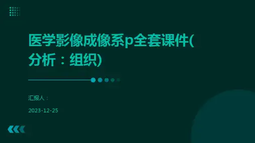 医学影像成像系p全套课件(分析：组织)