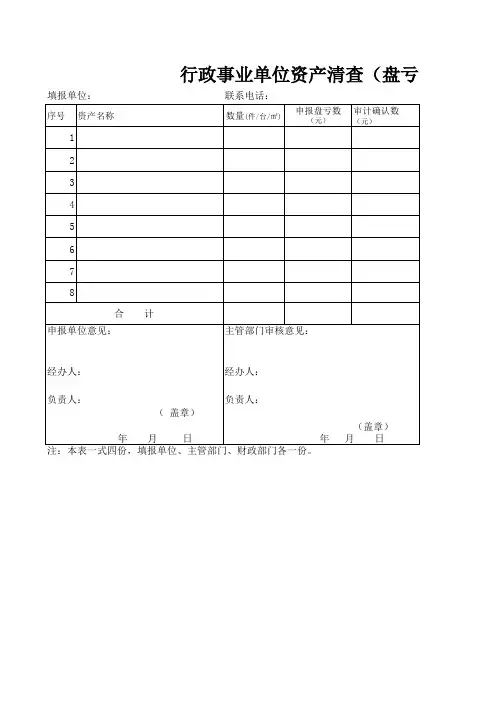 无形资产清查评估明细表(xls 7个)71