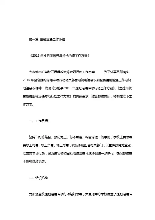 缉枪治爆工作小结