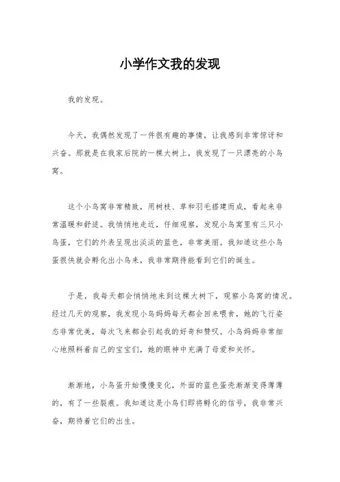 小学作文我的发现
