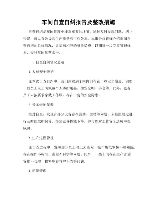车间自查自纠报告及整改措施