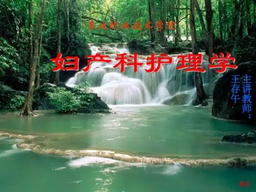 妇产科护理学4