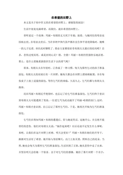 在希望的田野上_初中作文