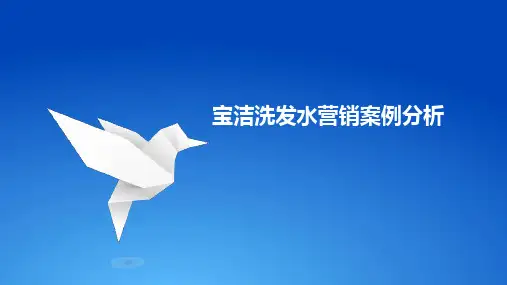 宝洁洗发水案例分析PPT课件