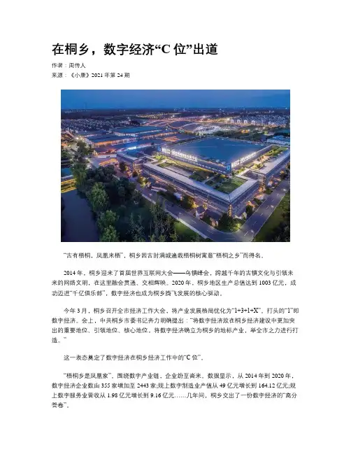 在桐乡，数字经济“C位”出道