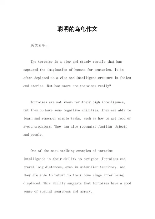 聪明的乌龟作文