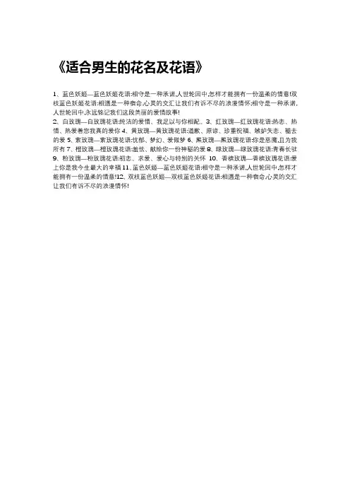 适合男生的花名及花语
