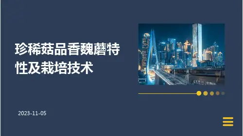 珍稀菇品香魏蘑特性及栽培技术
