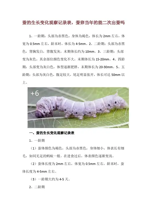 蚕的生长变化观察记录表,蚕卵当年的能二次出蚕吗