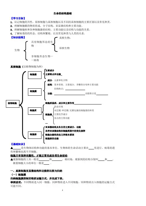 生命的物质基础知识结构