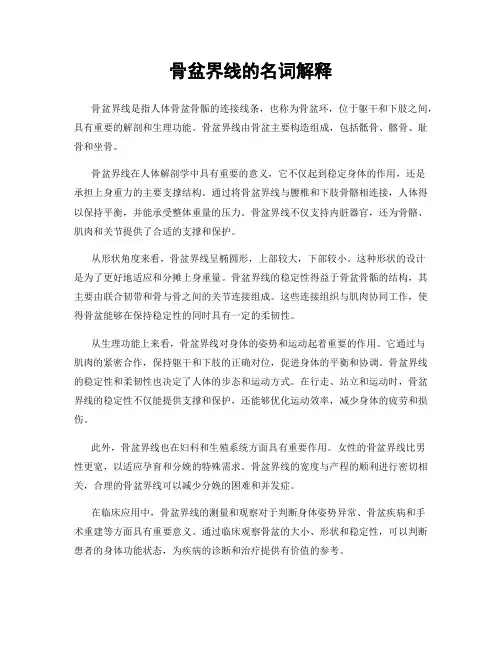 骨盆界线的名词解释