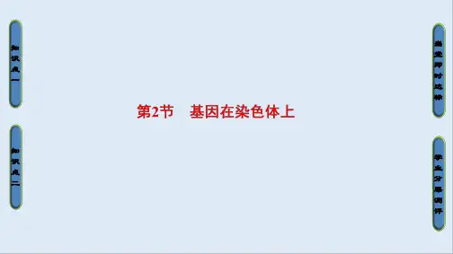 2019_2020学年高中生物人教版必修二课件：第2章 第2节 基因在染色体上 