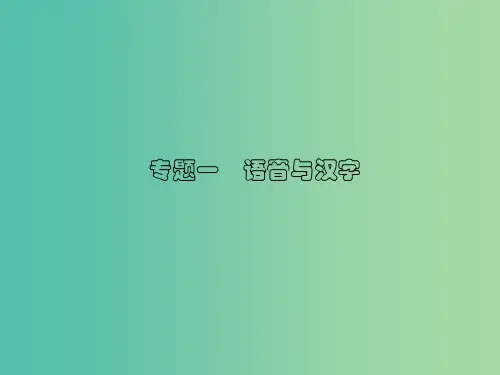 中考语文总复习 第二部分 积累与运用 专题一 语音与汉字习题  新人教版