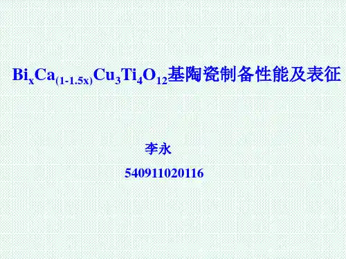 大学生创新项目ppt