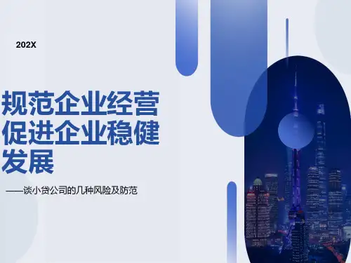 小贷公司风险防控