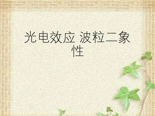 2022-2023年高考物理一轮复习 光电效应波粒二象性课件(重点难点易错点核心热点经典考点)