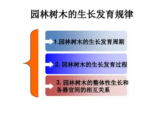 园林树木生命周期