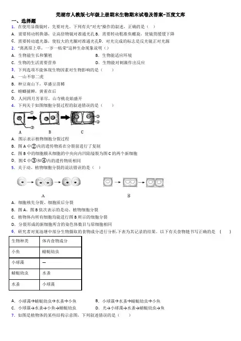 芜湖市人教版七年级上册期末生物期末试卷及答案-百度文库