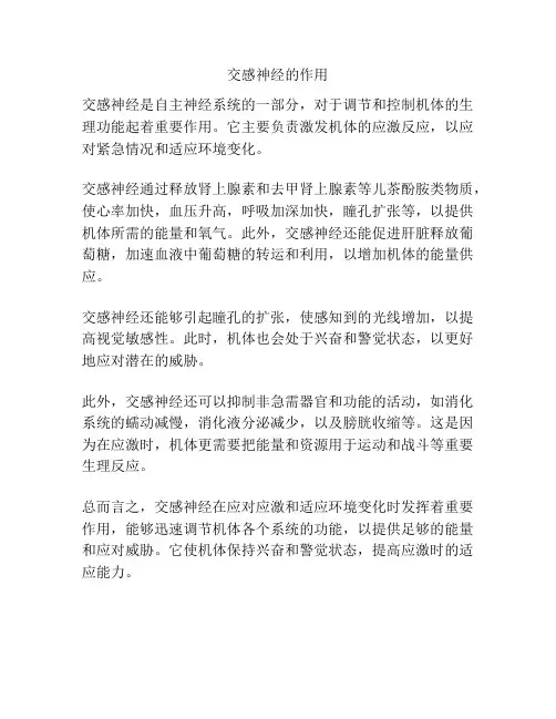 交感神经的作用