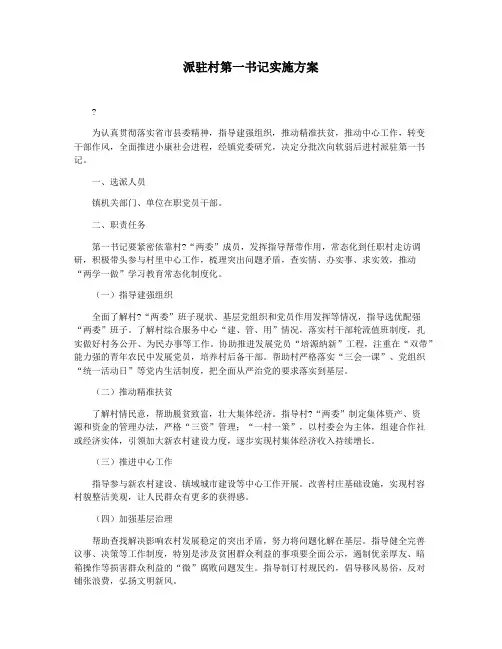 派驻村第一书记实施方案