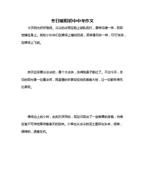 冬日暖阳初中中考作文