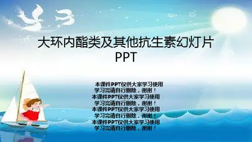 大环内酯类及其他抗生素幻灯片PPT