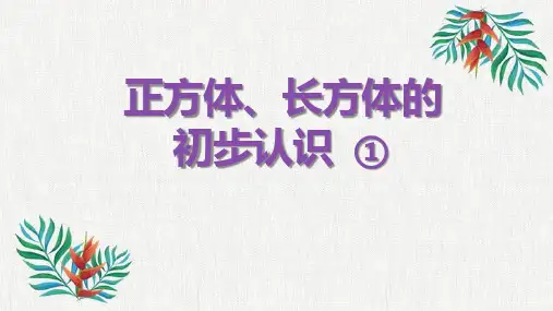 沪教版二年级上册数学正方体、长方体的初步认识(课件)(共22张)